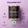 collagen gut uva 4